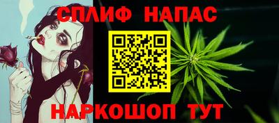 ECSTASY Новодвинск