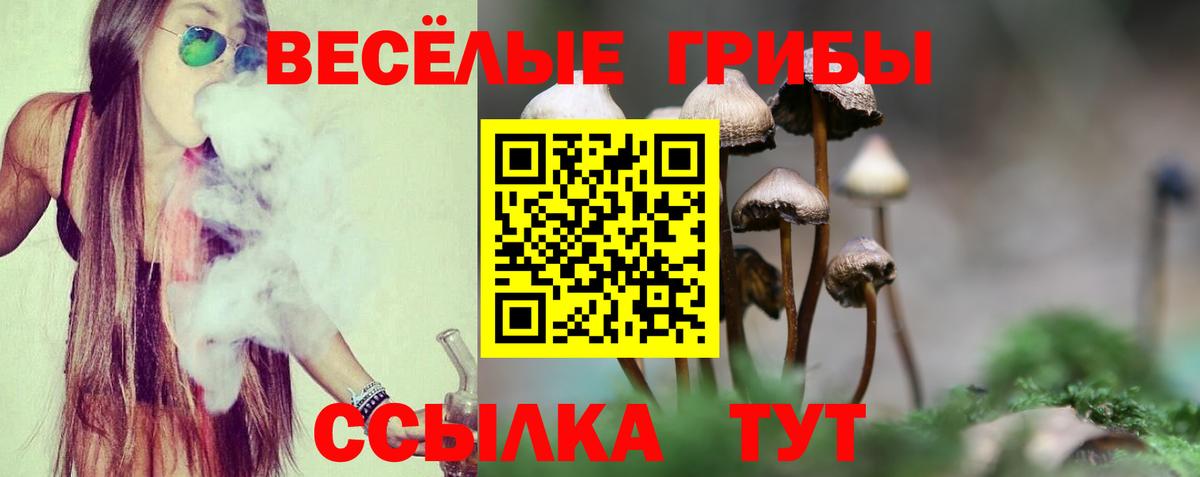 где найти   Псилоцибиновые грибы ЛСД  Вход с VPN  Алексеевка 